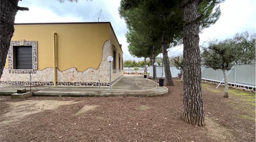 GIARDINO