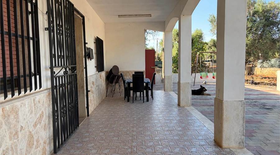 Photo 4
